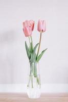 Tulips in vase against light background photo