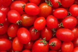 fondo de tomate orgánico maduro rojo foto