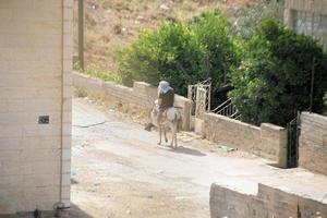 A view of the Judean Desert in Israel photo