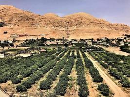 A view of the old town of Jericho in Israel photo