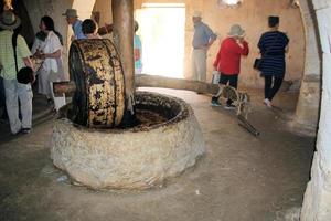 Nazareth in Israel in May 2016 A view of the Nazareth Village photo