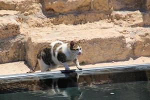 A view of Caeserea in Israel photo