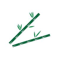 Bamboo with green leaf vector