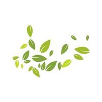 Green leaves background vector