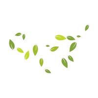 Green leaves background vector