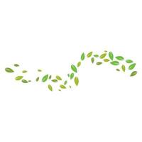 Green leaves background vector