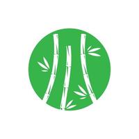 Bamboo with green leaf vector