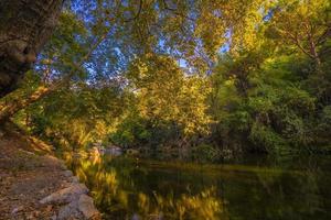 río del bosque en el follaje de otoño. paisaje de río de bosque de otoño. hermoso río del bosque de otoño. río en el bosque de otoño foto