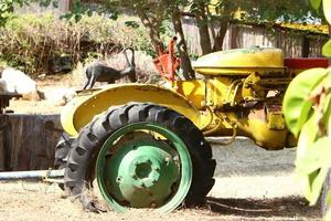 Old agricultural machinery stands on the street in Israel and rusts photo