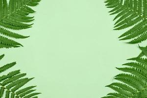 Green fern leaves in angles with light green empty copy space in center, flat lay top view photo