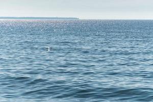 Sunny seascape. Part of the peninsula in the distance. Calm and good weather. No wind photo