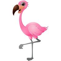 Cute flamingo on white background vector