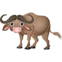 Cute buffalo cartoon on white background vector