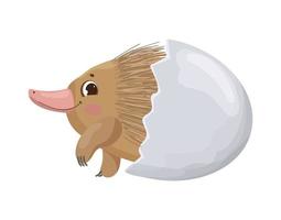 Anteater in egg vector