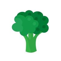 broccoli vegetable icon over white background vector