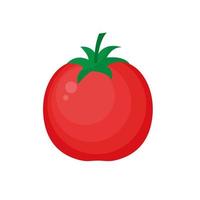 Tomato isolated single simple cartoon illustration vector