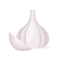 Garlic and garlic clove isolated on white background vector