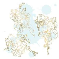 Vector flower of orchid. Ink illustration isolated.