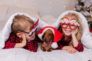 dos niños, un niño y una niña, están acostados en la cama con su querida mascota para navidad. foto de alta calidad