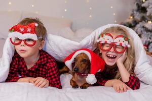 dos niños, un niño y una niña, están acostados en la cama con su querida mascota para navidad. foto de alta calidad