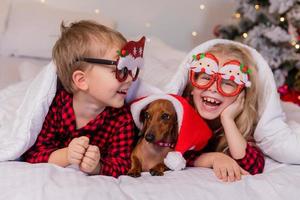 two children a boy and a girl are lying in bed with their beloved pet for Christmas. High quality photo