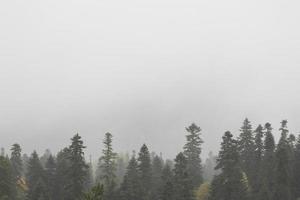 autumn and fog in the mountains. vertical photo. Photo wallpaper with mountain view, space for text