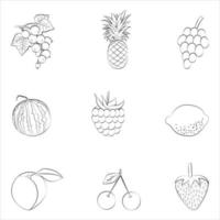A set of vector fruits of a thin line.
