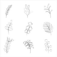 A set of twigs of plants and flowers with a thin line. vector