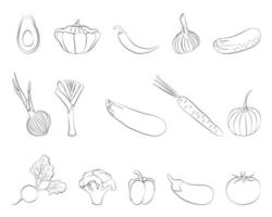 A set of vector vegetables with a thin line.