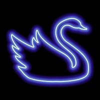Blue neon swan contour on a black background. Floating Bird vector