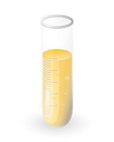 Glass laboratory test tube with liquid. Chemical equipment isolated on white background. Vector illustration.