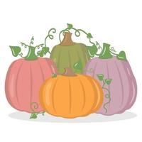 Autumn vegetable pumpkin, color vector isolated illustration icon