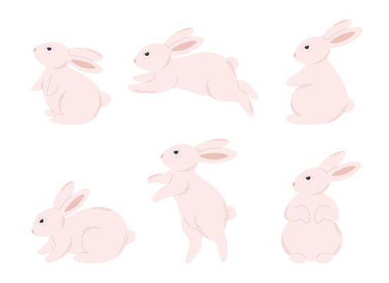 Set of cute white bunnies. Animal, hare. Year of the Rabbit. Easter bunny