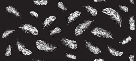 Feathers on white background. Hand drawn sketch style. vector