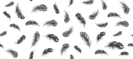 Feathers on white background. Hand drawn sketch style. vector