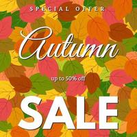 Background with autumn leaves and an inscription Autumn sale. Vector illustration