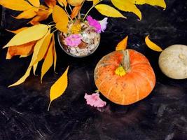 pumpkins among yellow dry leaves, autumn background photo