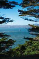 Boat in bay framed by trees photo