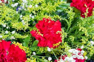 flower bouquet of red carnation with green leaves background photo