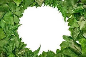 Green leaves circle frame with white empty copy space in center, flat lay top view photo