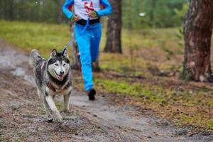 Canicross dog mushing race photo