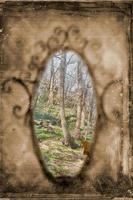 Old vintage mirror with green forest and blue sky reflection, surreal art concept photo