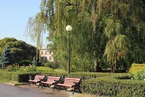 banco de madera moderno y vacío con listones en un parque público. planificación urbana, mejora de la ciudad, concepto de espacio público. zona de recreo del pueblo. arquitectura diseño cómodo jardín. camino de la ruta botánica foto