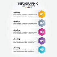 Vertical Infographic business marketing vector design colorful template folder 5 options or steps in minimal style