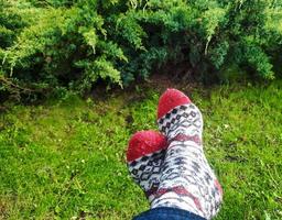 The concept of outdoor recreation, hygge and leisure - legs in woolen socks on a blurred background of green grass and junipers. photo