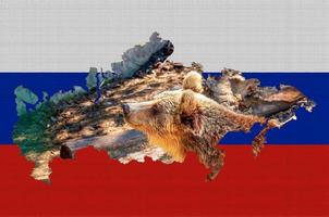 Outline map of Russia on the flag of the country. Common brown European bear inside the outline. Russia concept. photo