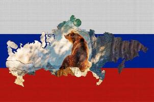 Outline map of Russia on the flag of the country. Common brown European bear inside the outline. Russia concept. photo