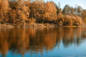 Beautiful autumn landscape with yellow trees and sun photo