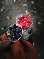 Two cups with black and red raspberries photo