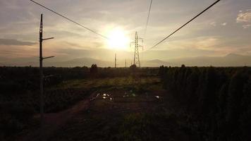 vue aérienne des pylônes et des fils à haute tension dans le ciel au coucher du soleil dans la campagne. images de drones de poteaux électriques et de fils au crépuscule. video
